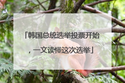 韩国总统选举投票开始，一文读懂这次选举