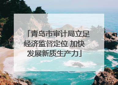 青岛市审计局立足经济监督定位 加快发展新质生产力
