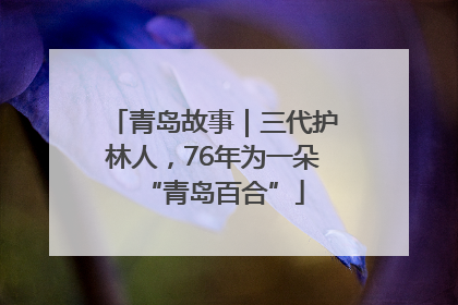 青岛故事｜三代护林人，76年为一朵“青岛百合”
