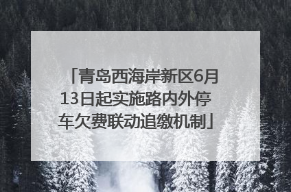 青岛西海岸新区6月13日起实施路内外停车欠费联动追缴机制