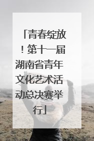 青春绽放！第十一届湖南省青年文化艺术活动总决赛举行