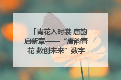 青花入时裳 唐韵启新章——“唐韵青花 数创未来”数字文创设计大赛启幕