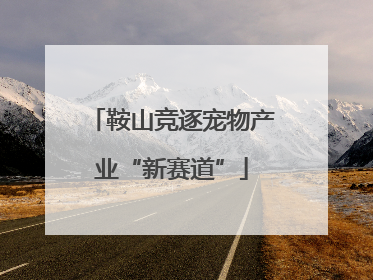 鞍山竞逐宠物产业“新赛道”