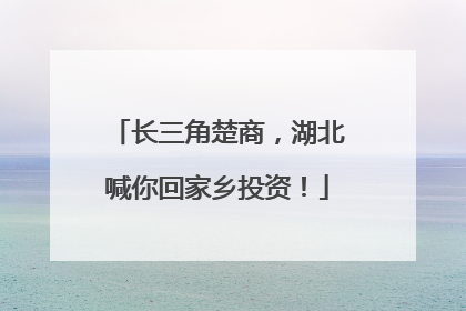 长三角楚商，湖北喊你回家乡投资！