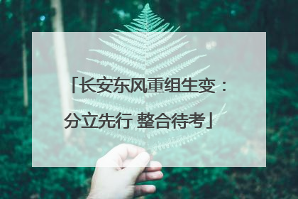 长安东风重组生变：分立先行 整合待考