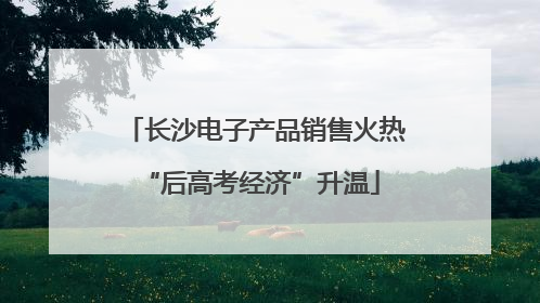 长沙电子产品销售火热 “后高考经济”升温