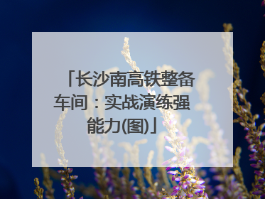 长沙南高铁整备车间：实战演练强能力(图)