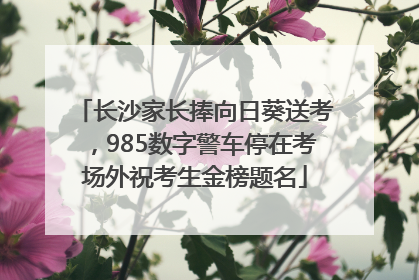 长沙家长捧向日葵送考，985数字警车停在考场外祝考生金榜题名