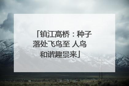 镇江高桥：种子落处飞鸟至 人鸟和谐趣景来