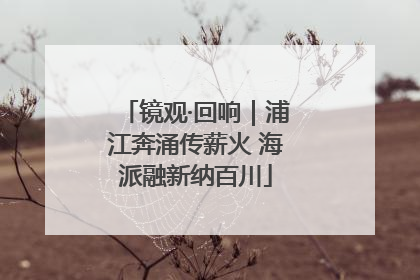 镜观·回响｜浦江奔涌传薪火 海派融新纳百川
