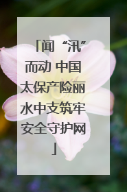 闻“汛”而动 中国太保产险丽水中支筑牢安全守护网