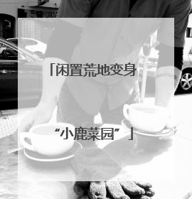 闲置荒地变身“小鹿菜园”