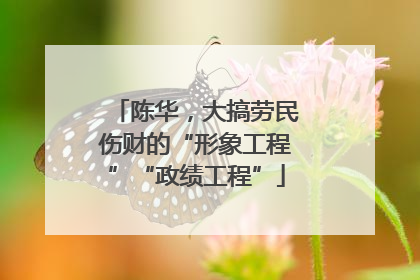 陈华，大搞劳民伤财的“形象工程”“政绩工程”