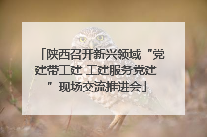 陕西召开新兴领域“党建带工建 工建服务党建”现场交流推进会