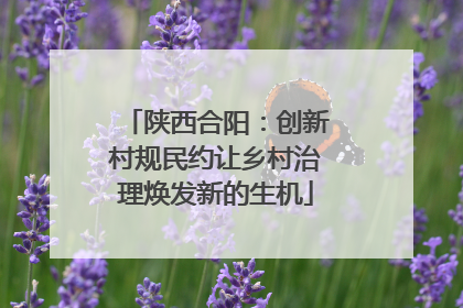 陕西合阳：创新村规民约让乡村治理焕发新的生机