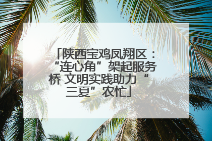 陕西宝鸡凤翔区：“连心角”架起服务桥 文明实践助力“三夏”农忙