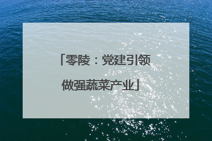 零陵：党建引领 做强蔬菜产业