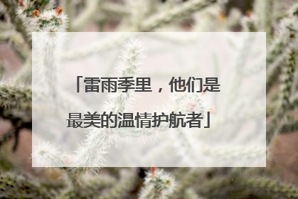 雷雨季里，他们是最美的温情护航者