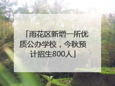 雨花区新增一所优质公办学校，今秋预计招生800人