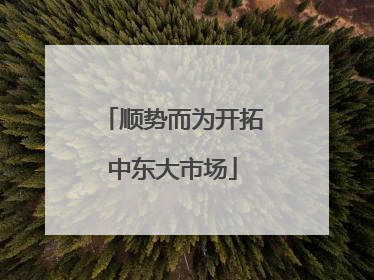 顺势而为开拓中东大市场