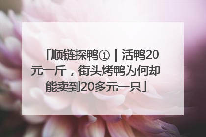 顺链探鸭①｜活鸭20元一斤，街头烤鸭为何却能卖到20多元一只