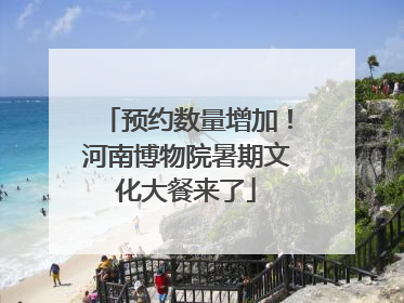 预约数量增加！河南博物院暑期文化大餐来了