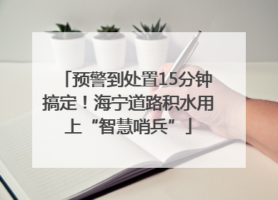 预警到处置15分钟搞定！海宁道路积水用上“智慧哨兵”