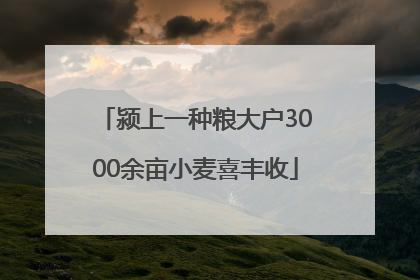 颍上一种粮大户3000余亩小麦喜丰收