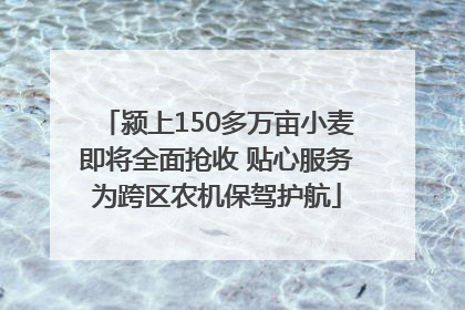 颍上150多万亩小麦即将全面抢收 贴心服务为跨区农机保驾护航