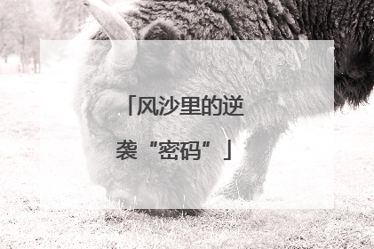 风沙里的逆袭“密码”