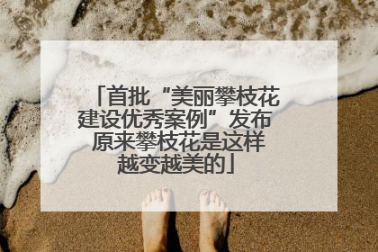 首批“美丽攀枝花建设优秀案例”发布 原来攀枝花是这样越变越美的