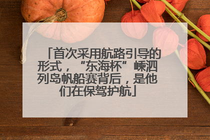 首次采用航路引导的形式，“东海杯”嵊泗列岛帆船赛背后，是他们在保驾护航
