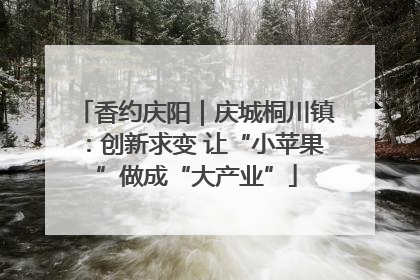 香约庆阳｜庆城桐川镇：创新求变 让“小苹果”做成“大产业”