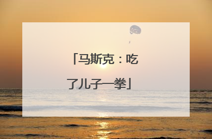 马斯克：吃了儿子一拳