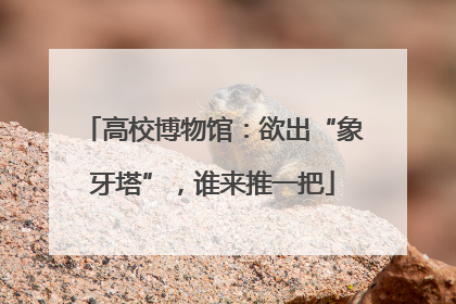 高校博物馆：欲出“象牙塔”，谁来推一把