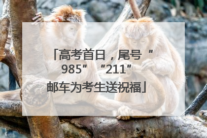 高考首日，尾号“985”“211”邮车为考生送祝福