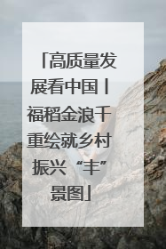 高质量发展看中国丨福稻金浪千重绘就乡村振兴“丰”景图