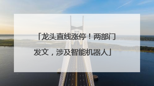 龙头直线涨停！两部门发文，涉及智能机器人