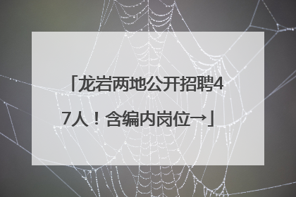 龙岩两地公开招聘47人！含编内岗位→