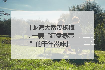 龙湾大岙溪杨梅：一颗“红盘绿蒂”的千年滋味