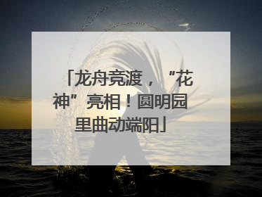 龙舟竞渡，“花神”亮相！圆明园里曲动端阳