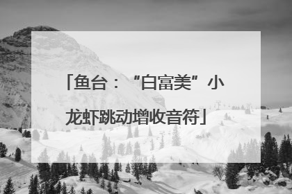 鱼台：“白富美”小龙虾跳动增收音符