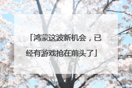 鸿蒙这波新机会，已经有游戏抢在前头了