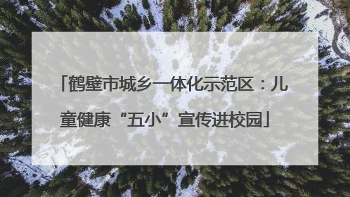 鹤壁市城乡一体化示范区：儿童健康“五小”宣传进校园