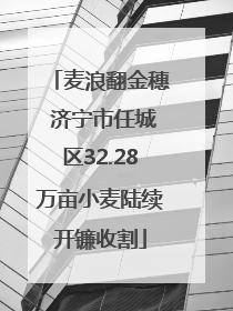 麦浪翻金穗 济宁市任城区32.28万亩小麦陆续开镰收割