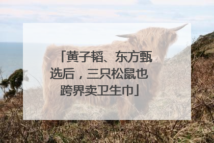 黄子韬、东方甄选后，三只松鼠也跨界卖卫生巾