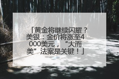 黄金将继续闪耀？美银：金价将涨至4000美元，“大而美”法案是关键！