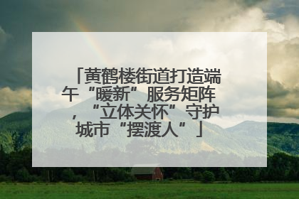 黄鹤楼街道打造端午“暖新”服务矩阵，“立体关怀”守护城市“摆渡人”