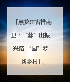 黑龙江省桦南县：“蒜”出振兴路 “园”梦新乡村