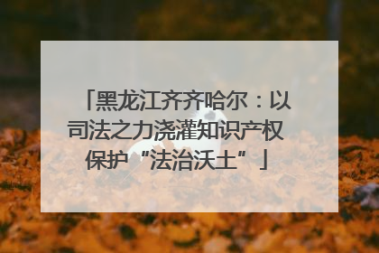 黑龙江齐齐哈尔：以司法之力浇灌知识产权保护“法治沃土”